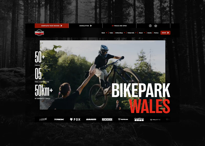 Website Creation