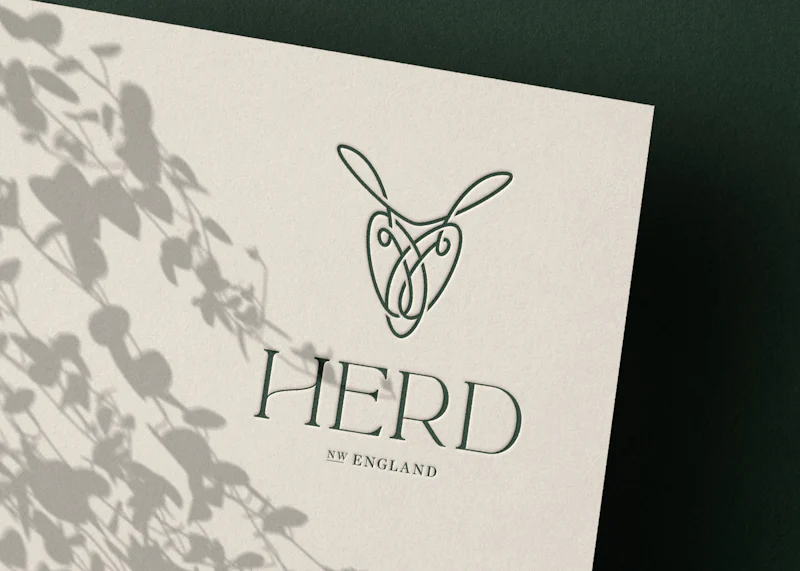 Brand Identity
